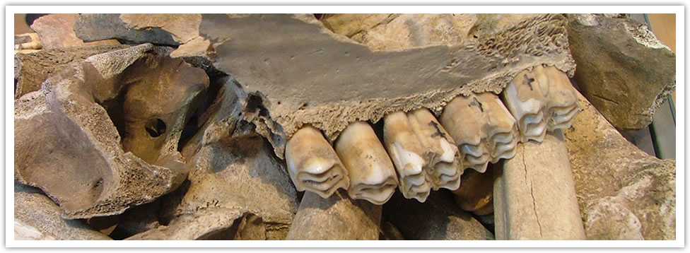 Dießenbacher Informationsmedien